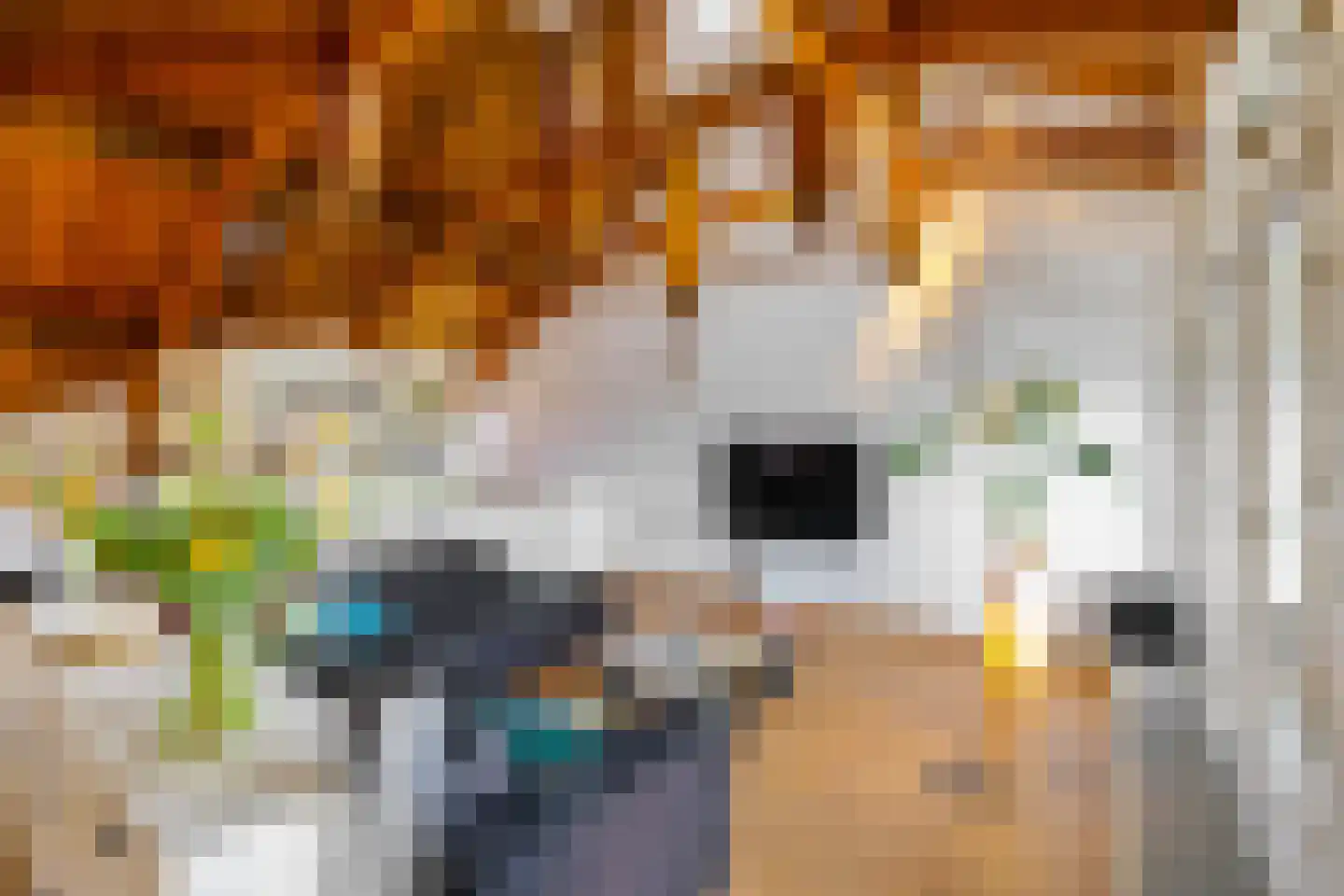 Kamerlingheplein 12 Groningen thumbnail 14