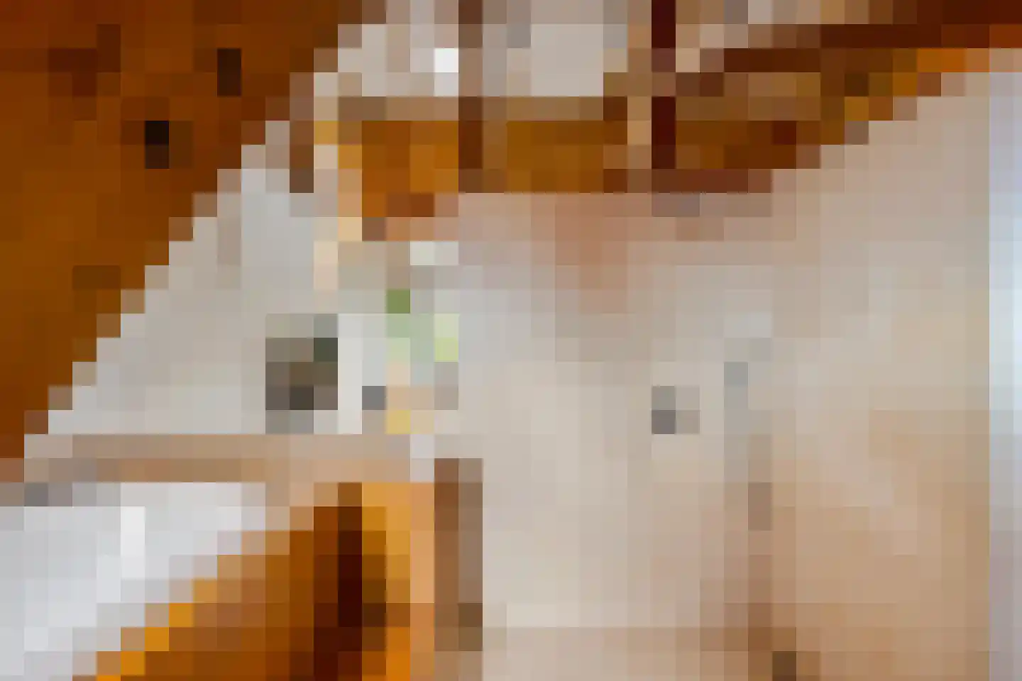 Kamerlingheplein 12 Groningen thumbnail 20