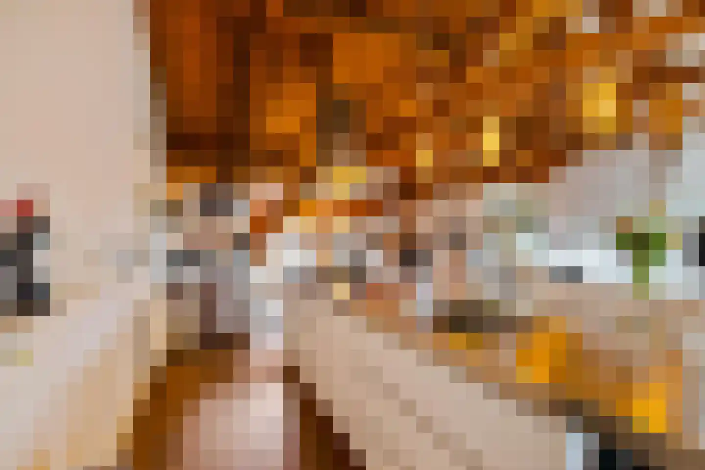 Kamerlingheplein 12 Groningen thumbnail 29