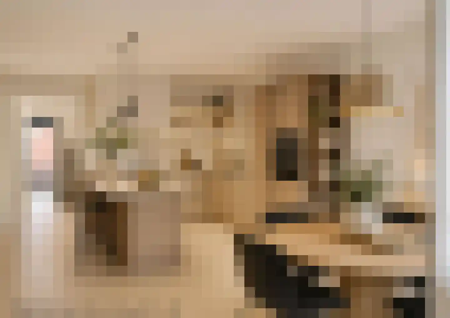 Kamerlingheplein 24 Groningen thumbnail 17