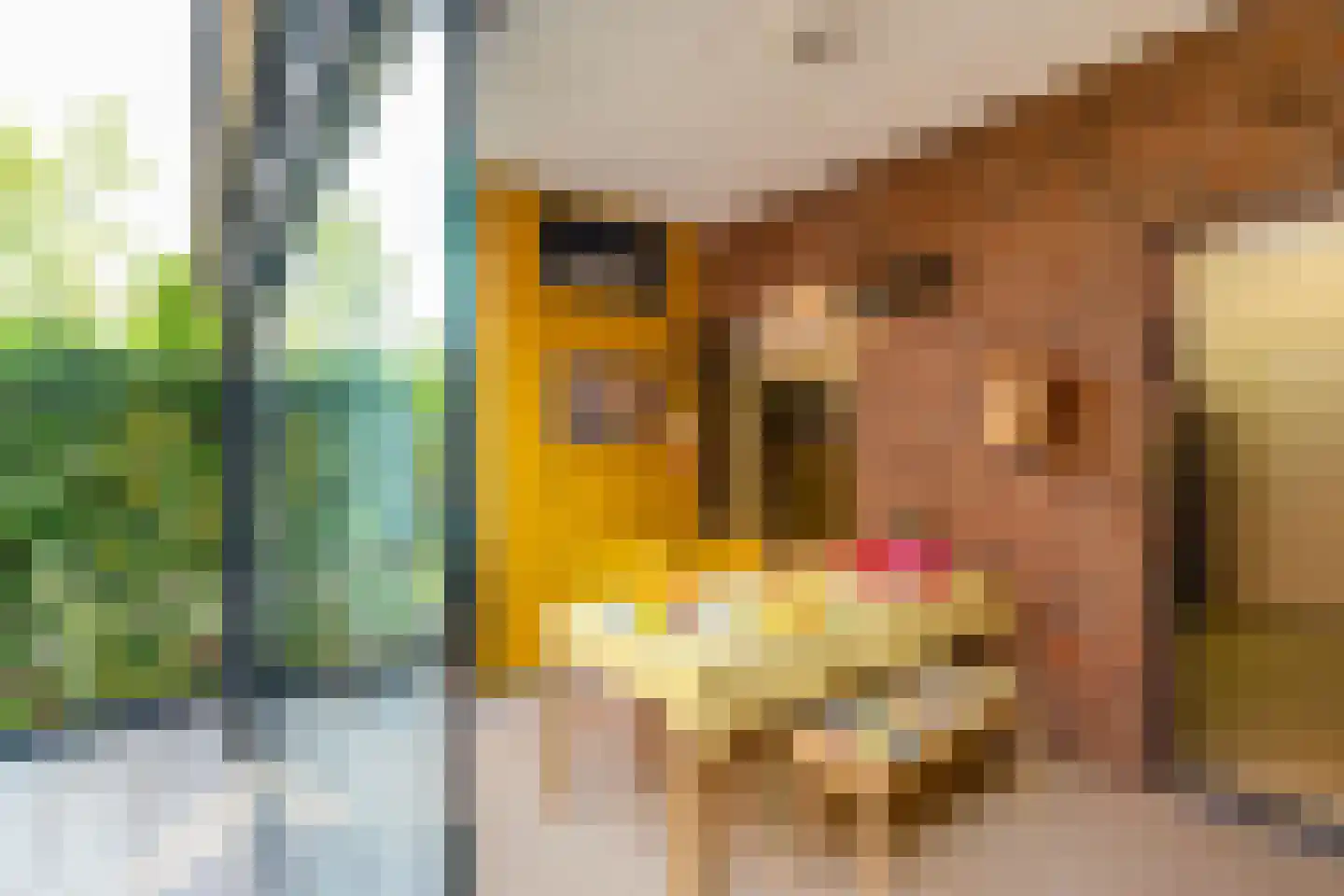 Kamerlingheplein 24 Groningen thumbnail 26