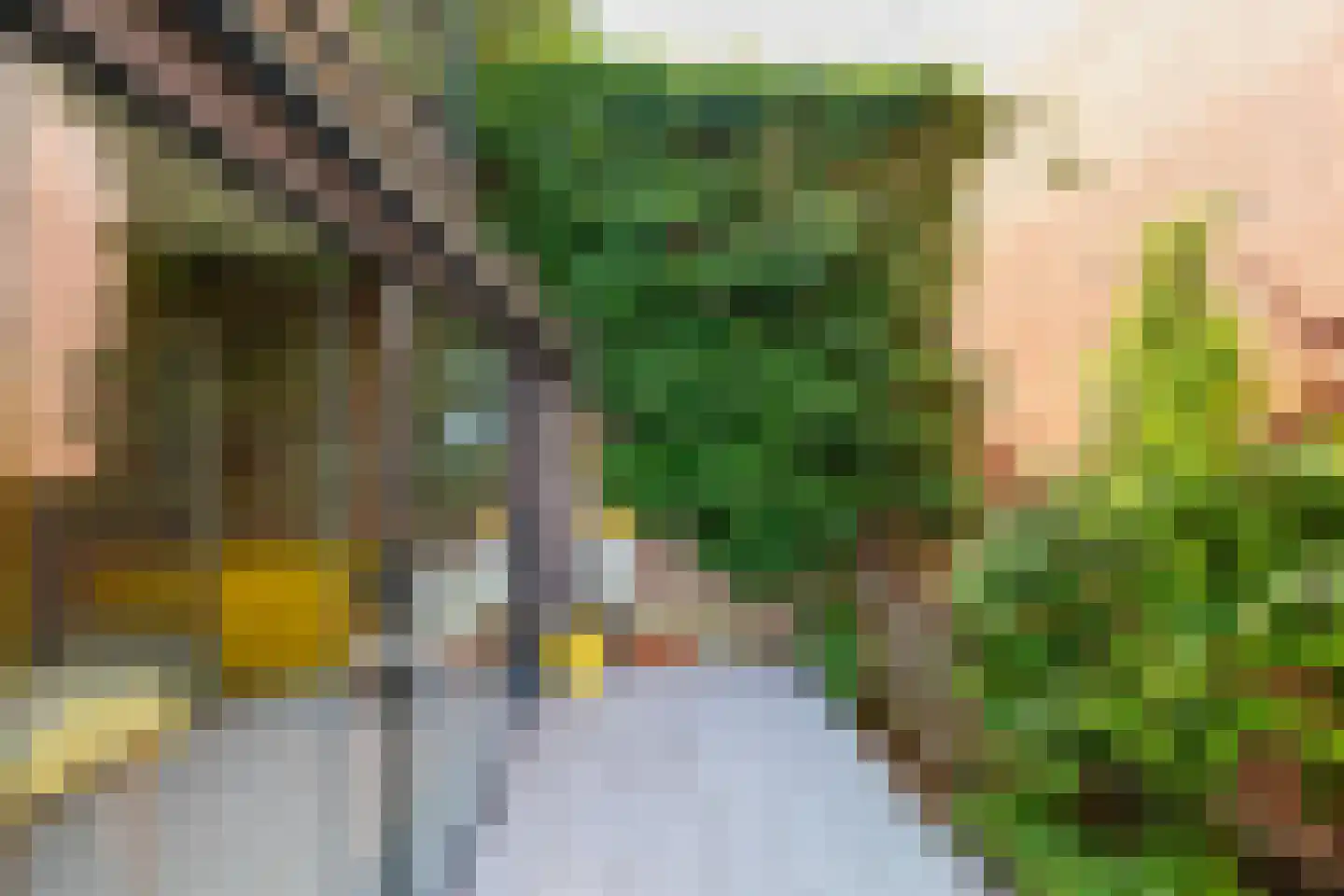 Kamerlingheplein 24 Groningen thumbnail 31