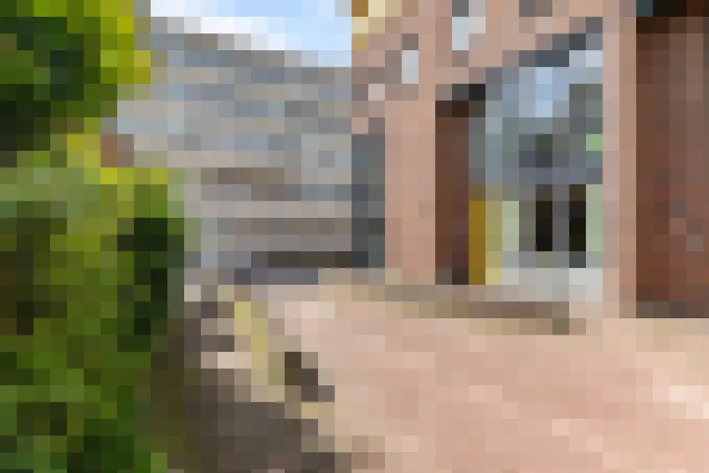 Kamerlingheplein 24 Groningen thumbnail 57
