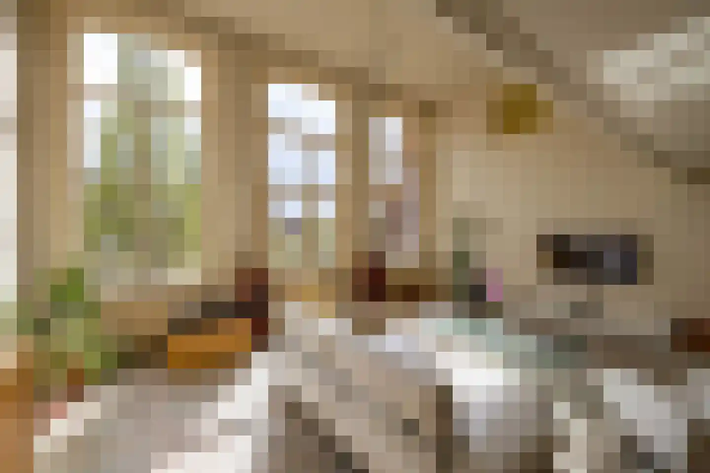Kamerlingheplein 5 Groningen thumbnail 10