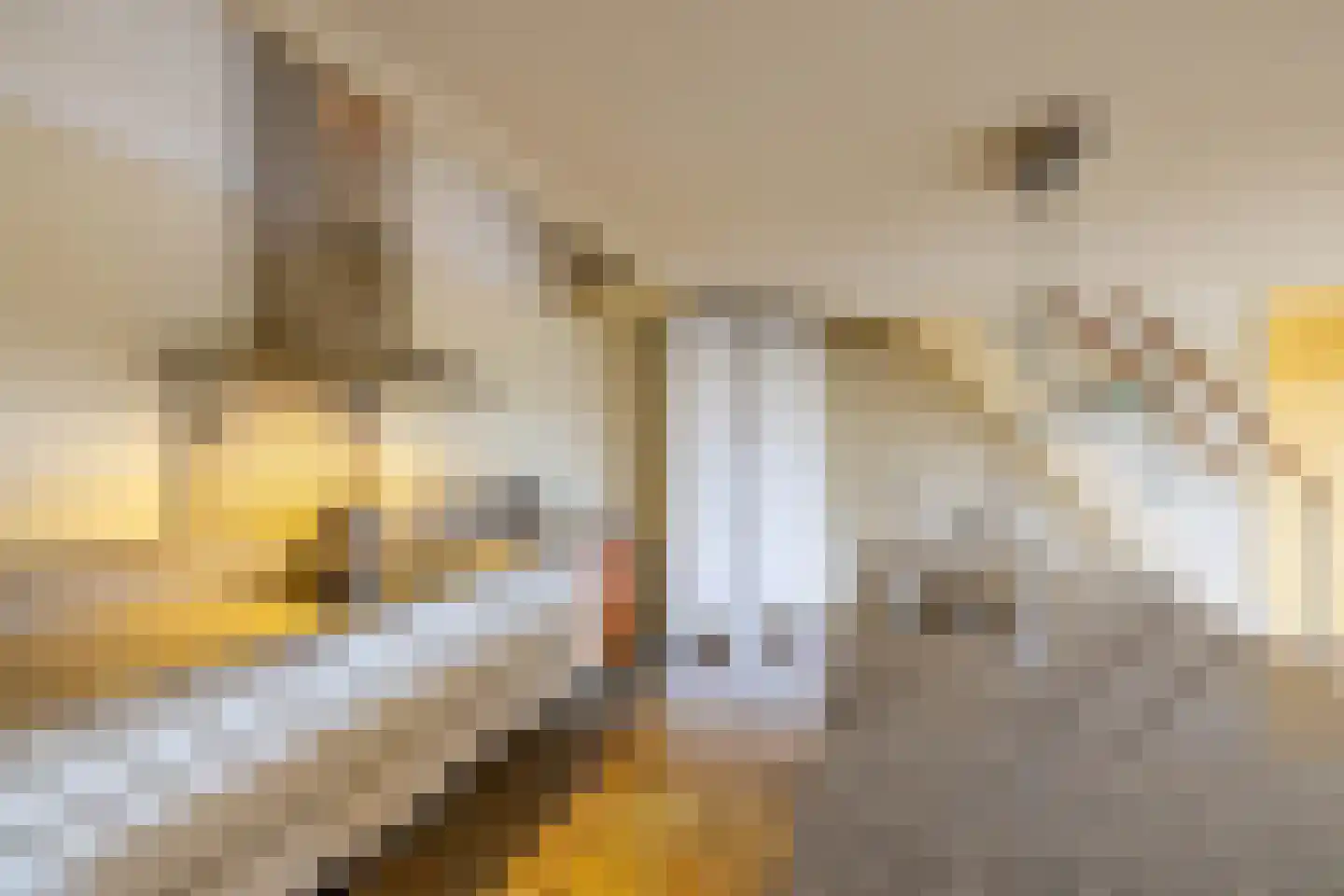 Kamerlingheplein 5 Groningen thumbnail 15