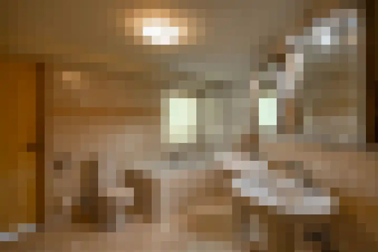 Kamerlingheplein 5 Groningen thumbnail 28