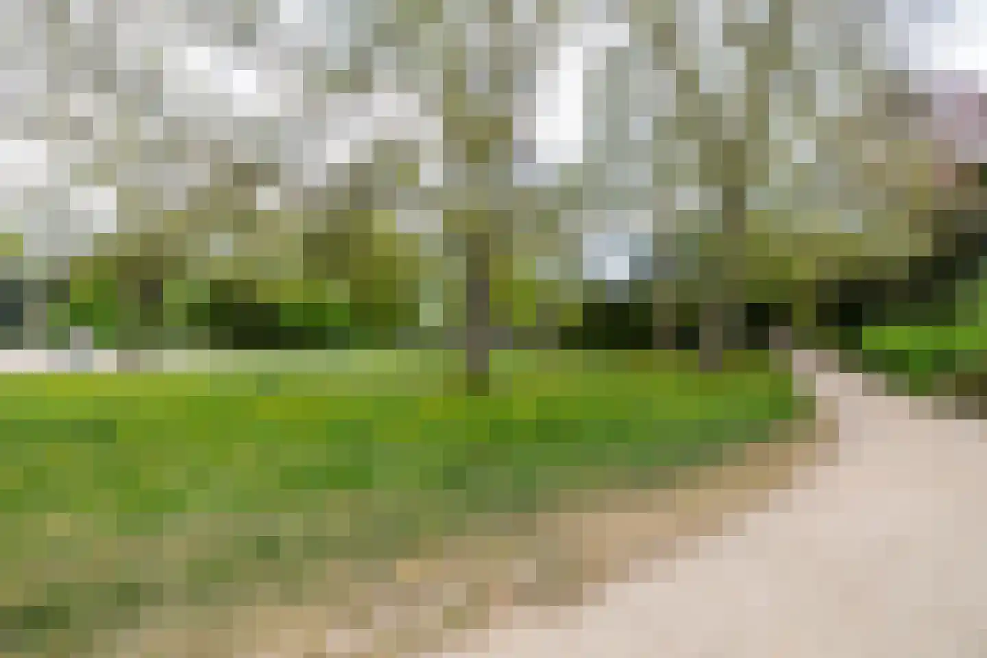 Kamerlingheplein 5 Groningen thumbnail 38
