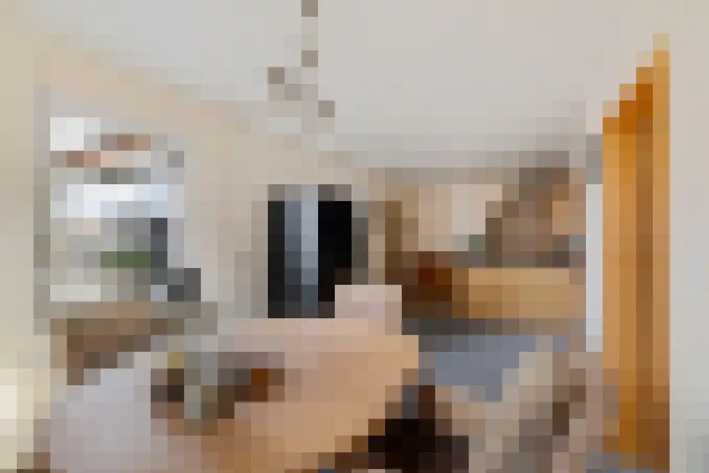 Kamerlingswijk OZ 240 Zwartemeer thumbnail 21