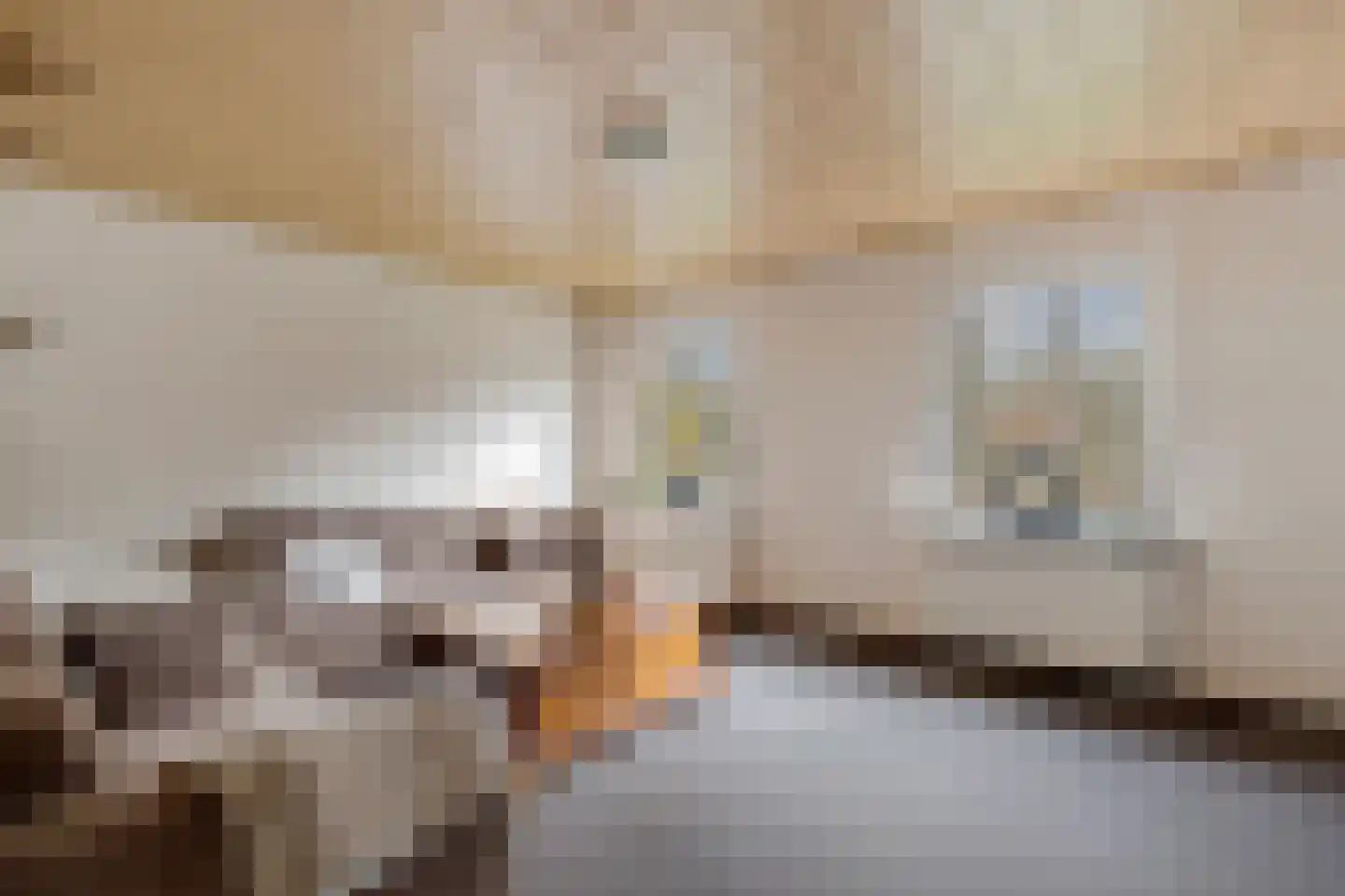 Kamerlingswijk OZ 240 Zwartemeer thumbnail 24