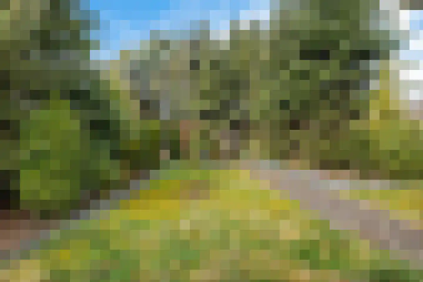Kamerlingswijk OZ 240 Zwartemeer thumbnail 38