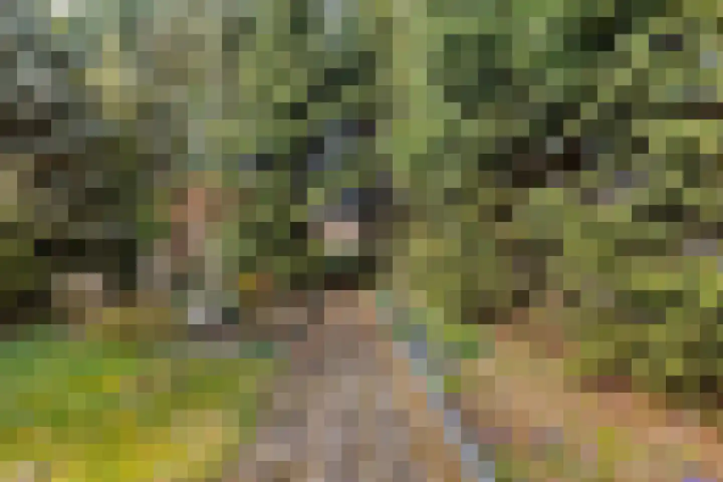 Kamerlingswijk OZ 240 Zwartemeer thumbnail 39