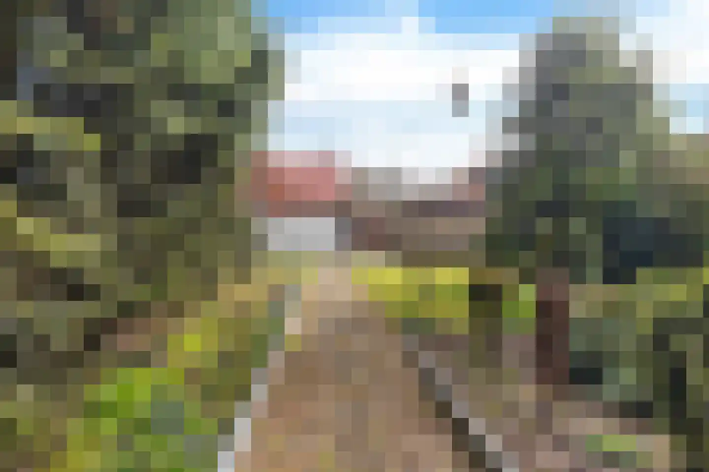 Kamerlingswijk OZ 240 Zwartemeer thumbnail 40