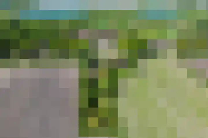 Kamerlingswijk OZ 52 in Zwartemeer