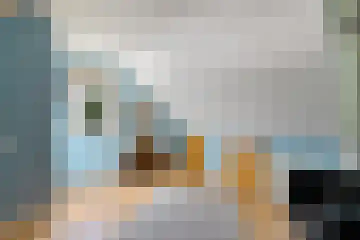 Kamerlingswijk OZ 52 Zwartemeer thumbnail 30
