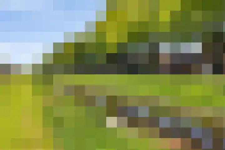 Kamerlingswijk OZ 52 Zwartemeer thumbnail 4