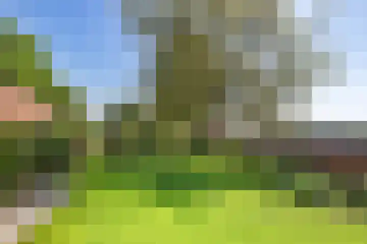 Kamerlingswijk OZ 52 Zwartemeer thumbnail 40