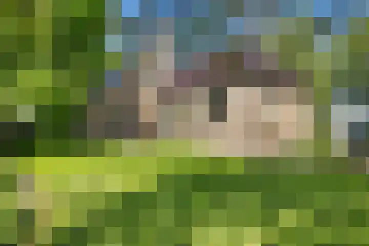 Kamerlingswijk OZ 52 Zwartemeer thumbnail 42