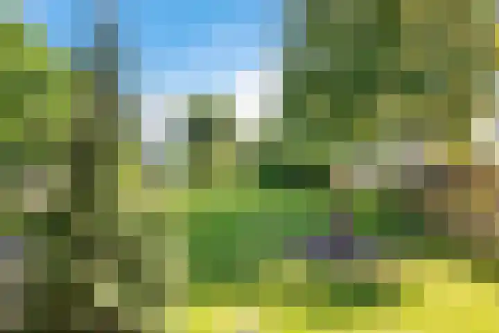 Kamerlingswijk OZ 52 Zwartemeer thumbnail 44