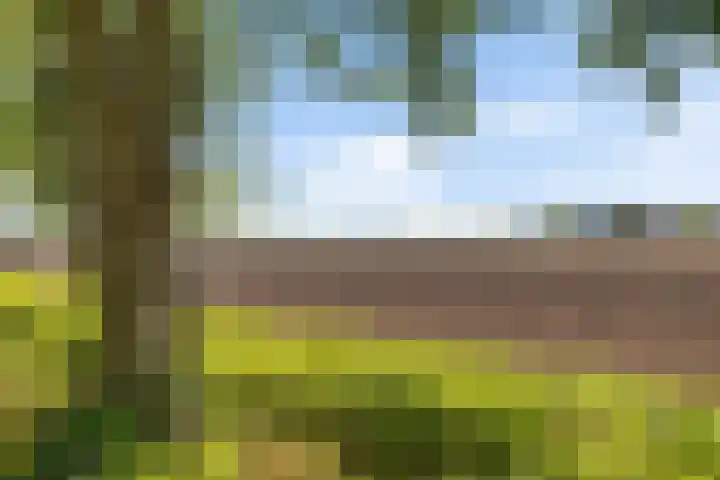 Kamerlingswijk OZ 52 Zwartemeer thumbnail 46