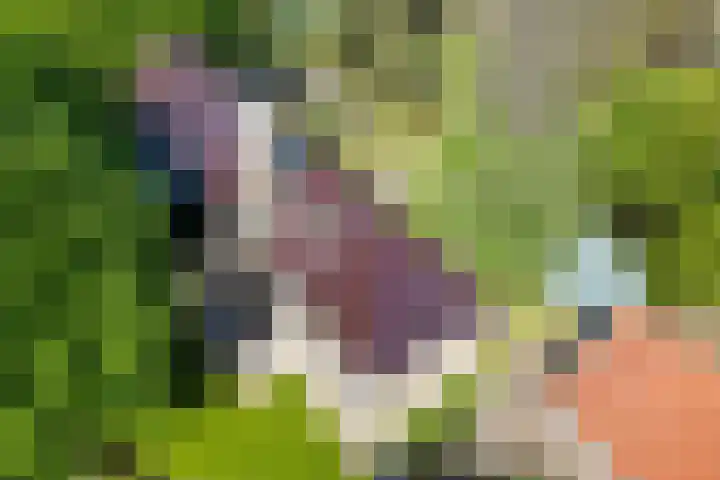 Kamerlingswijk OZ 52 Zwartemeer thumbnail 47