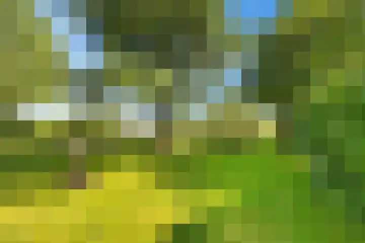 Kamerlingswijk OZ 52 Zwartemeer thumbnail 48