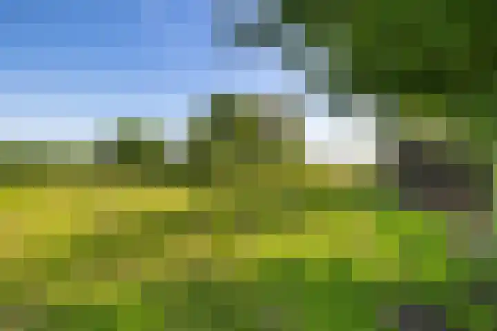 Kamerlingswijk OZ 52 Zwartemeer thumbnail 49