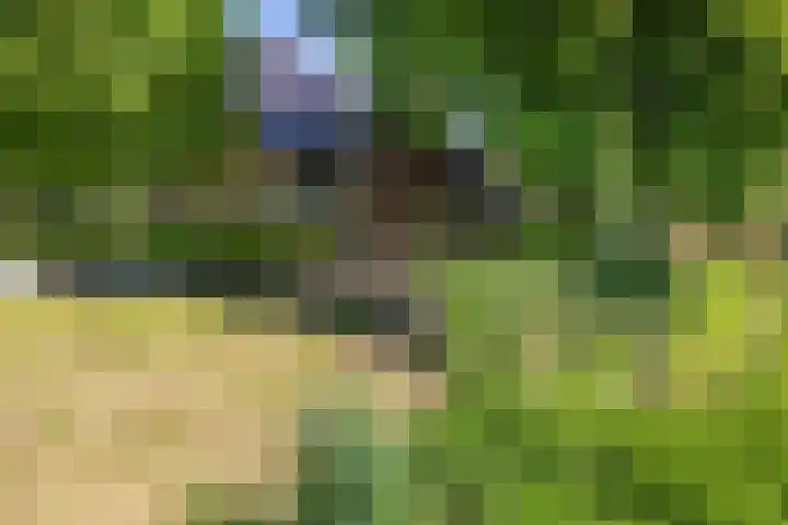 Kamerlingswijk OZ 52 Zwartemeer thumbnail 5