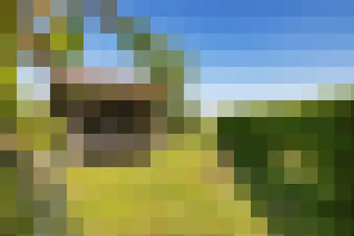 Kamerlingswijk OZ 52 Zwartemeer thumbnail 50