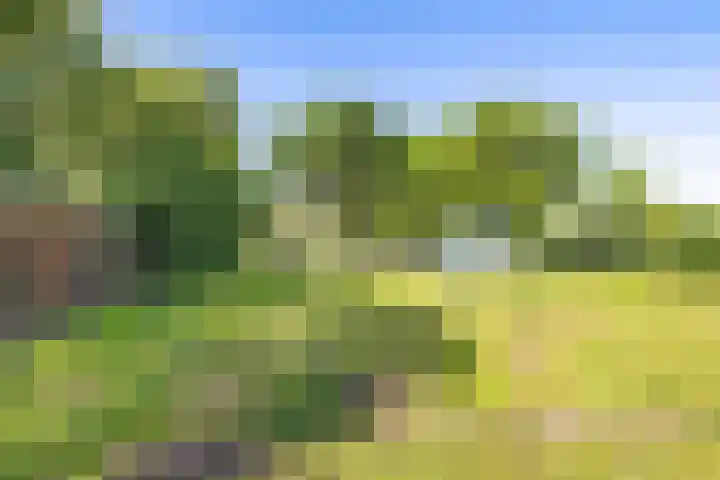 Kamerlingswijk OZ 52 Zwartemeer thumbnail 51