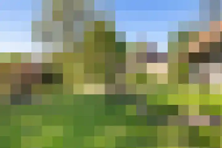 Kamerlingswijk OZ 52 Zwartemeer thumbnail 52