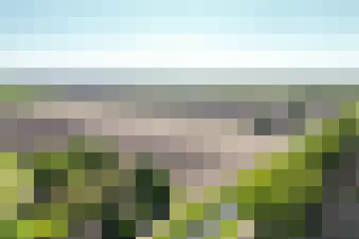 Kamerlingswijk OZ 52 Zwartemeer thumbnail 53