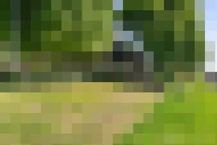 Kamerlingswijk OZ 52 Zwartemeer thumbnail 6