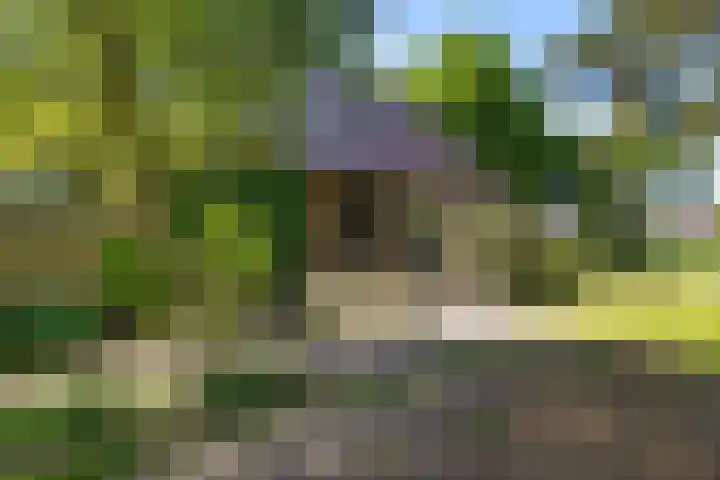 Kamerlingswijk OZ 52 Zwartemeer thumbnail 7