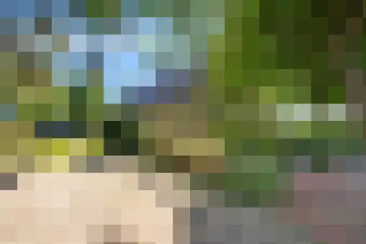 Kamerlingswijk OZ 52 Zwartemeer thumbnail 8