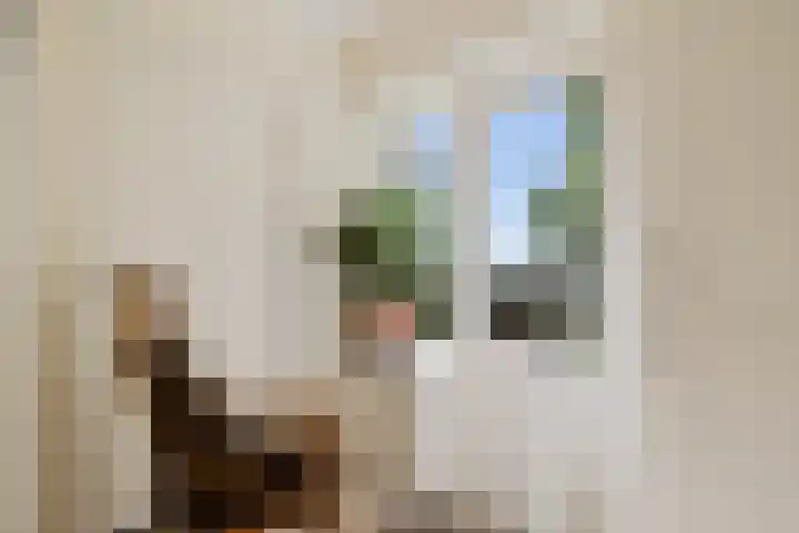 Kamerlingswijk OZ 52 Zwartemeer thumbnail 9