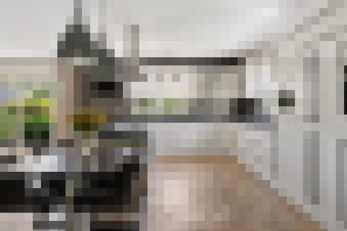 Kamerlingswijk OZ 78 Zwartemeer thumbnail 20