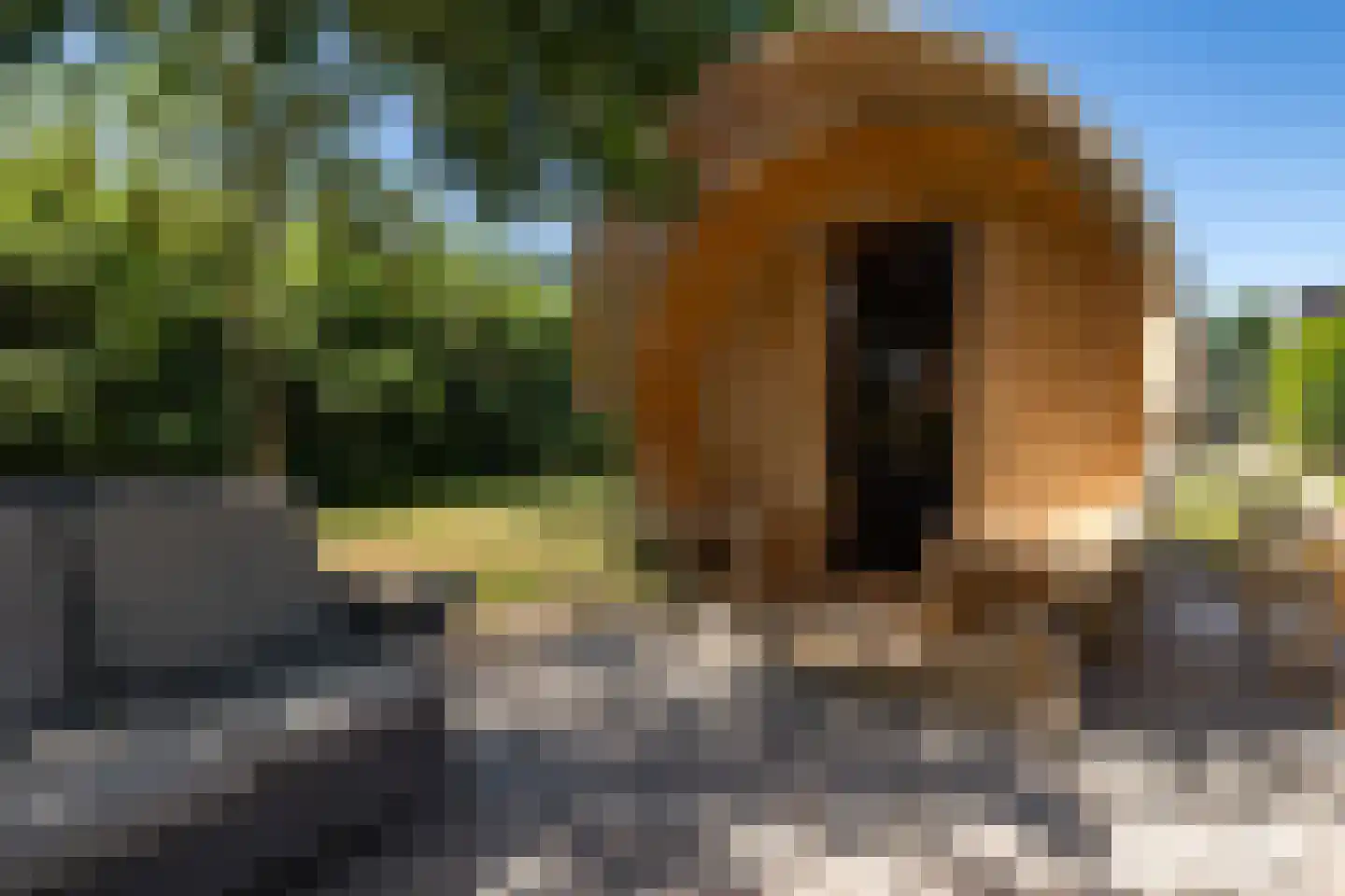 Kamerlingswijk OZ 78 Zwartemeer thumbnail 58