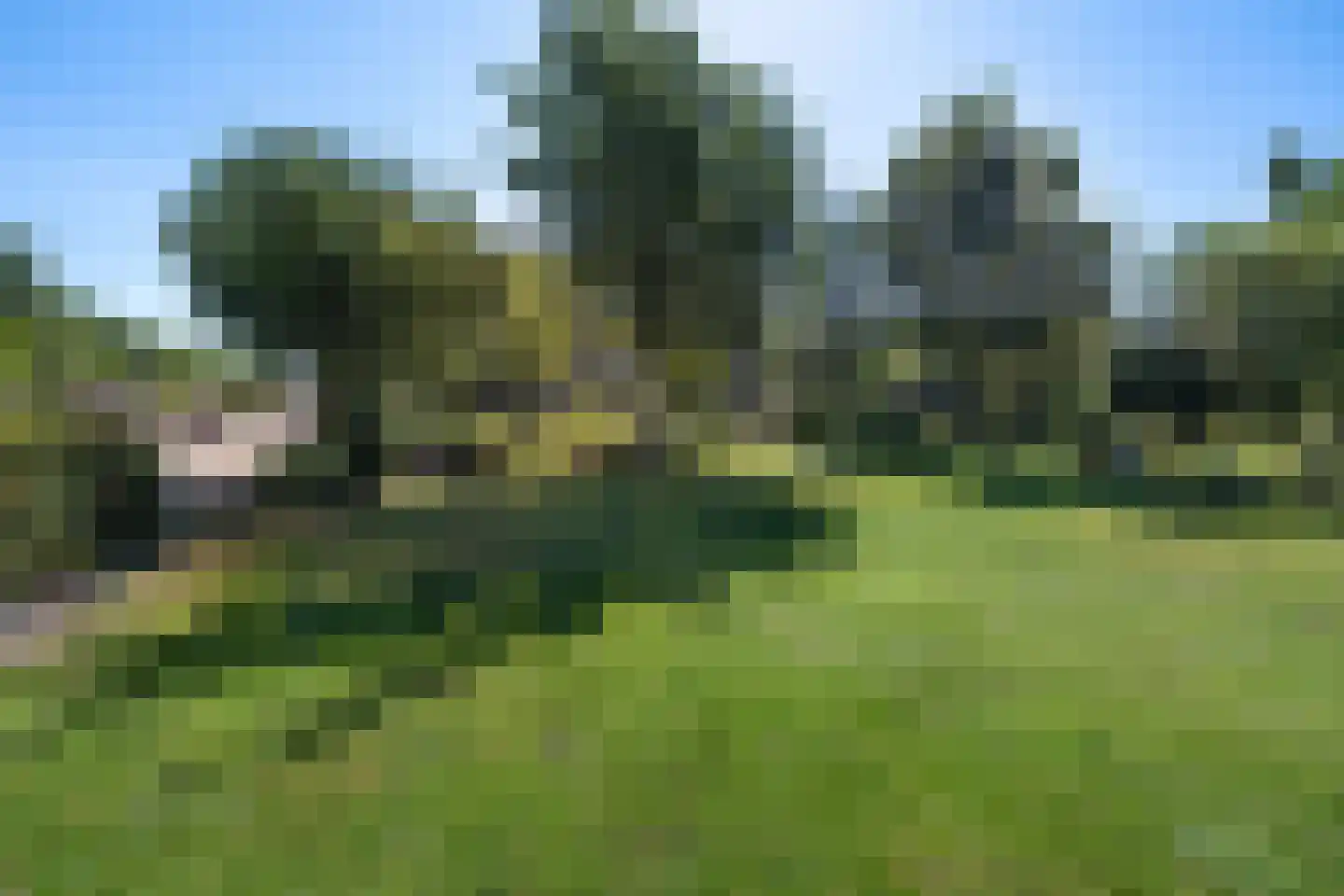 Kamerlingswijk OZ 78 Zwartemeer thumbnail 61