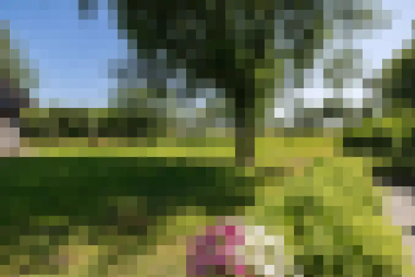 Kamerlingswijk OZ 78 Zwartemeer thumbnail 65