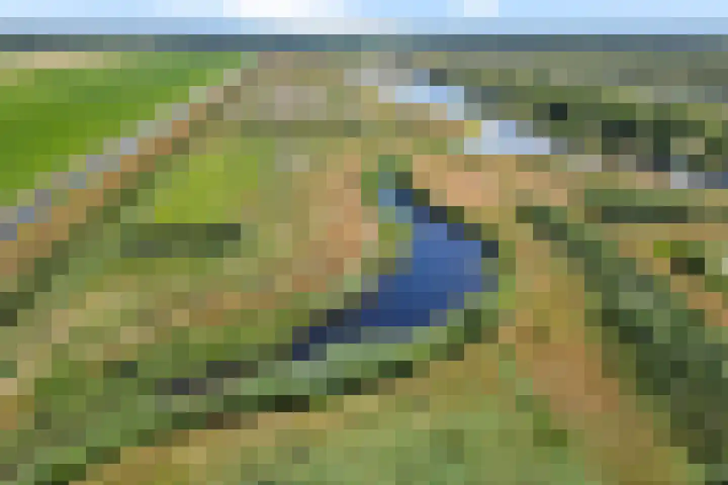 Kamerlingswijk OZ 78 Zwartemeer thumbnail 74
