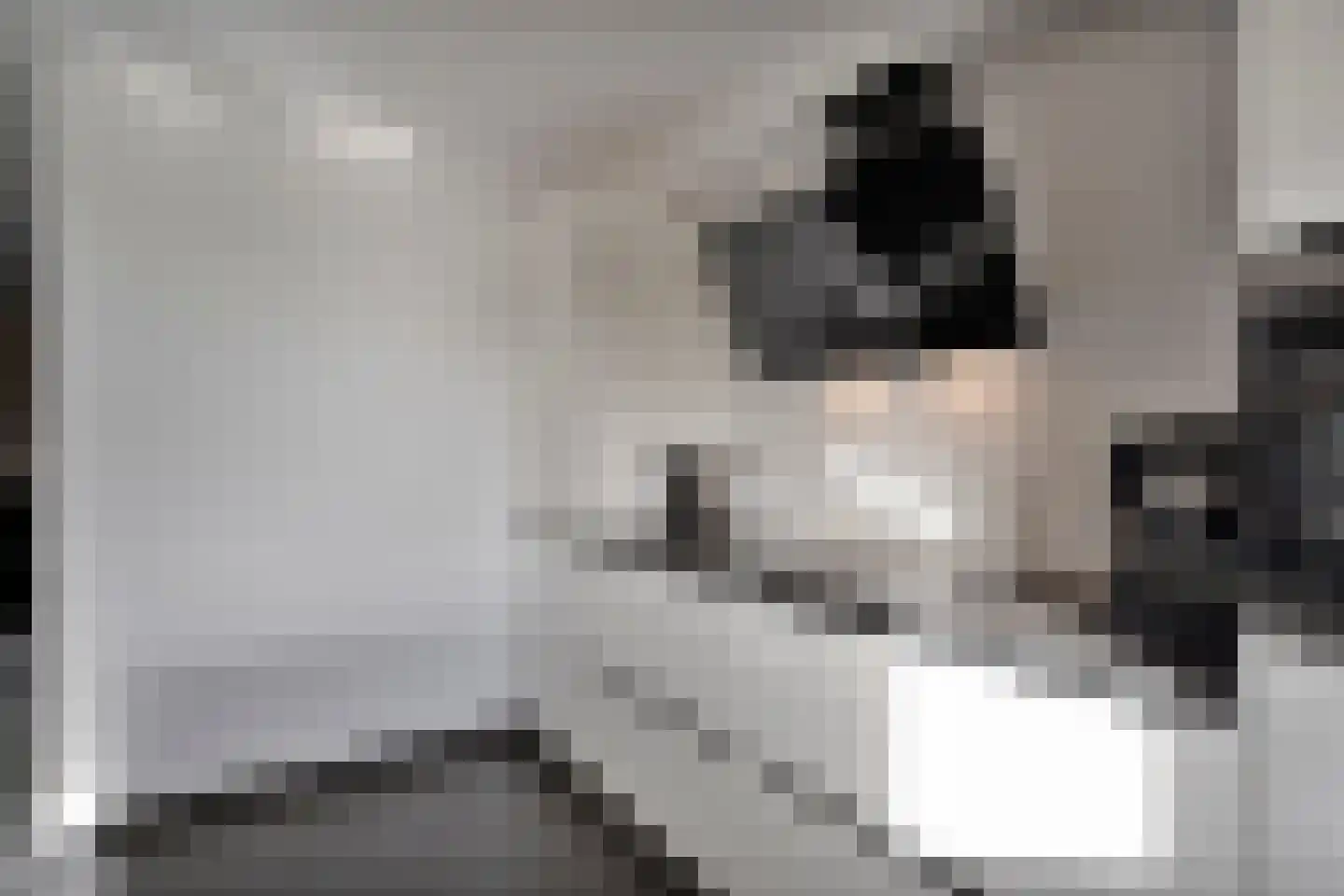 Kamerlingswijk WZ 135 Zwartemeer thumbnail 17