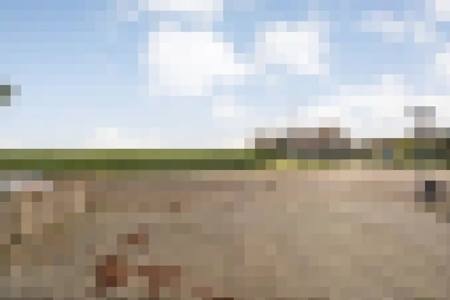 Kamerlingswijk WZ 135 Zwartemeer thumbnail 59