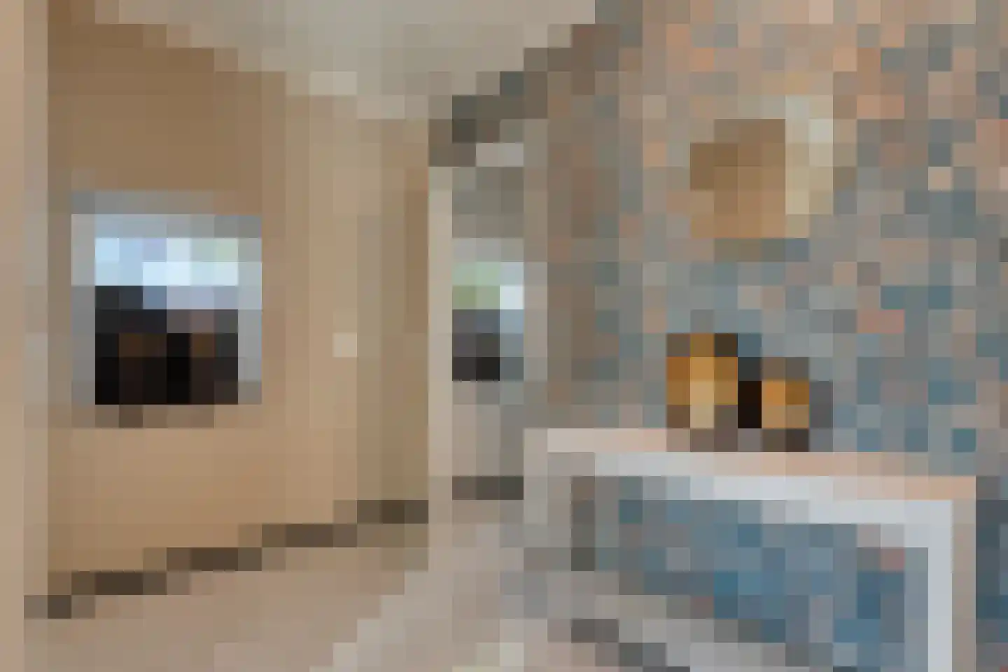Kamerlingswijk WZ 135 Zwartemeer thumbnail 6