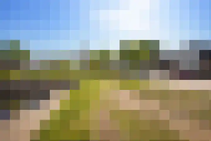 Kamerlingswijk WZ 88 B Zwartemeer thumbnail 11