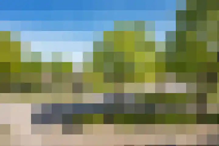 Kamerlingswijk WZ 88 B Zwartemeer thumbnail 12