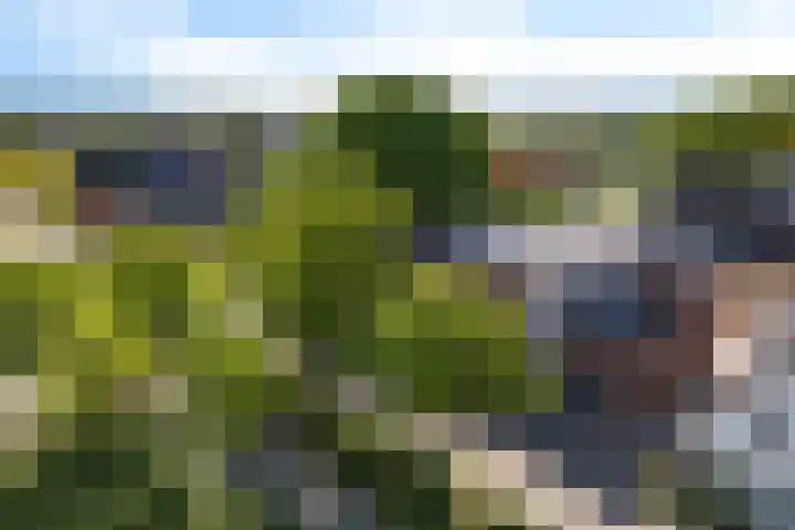 Kamerlingswijk WZ 88 B Zwartemeer thumbnail 13