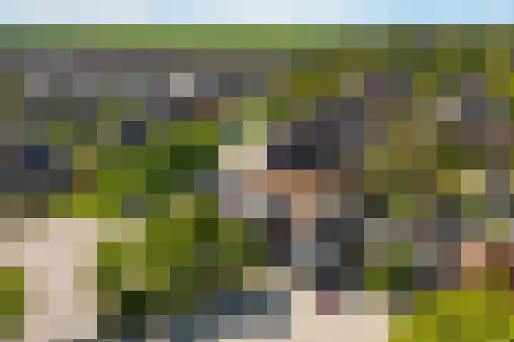 Kamerlingswijk WZ 88 B Zwartemeer thumbnail 13