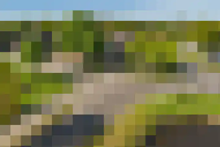 Kamerlingswijk WZ 88 B Zwartemeer thumbnail 14