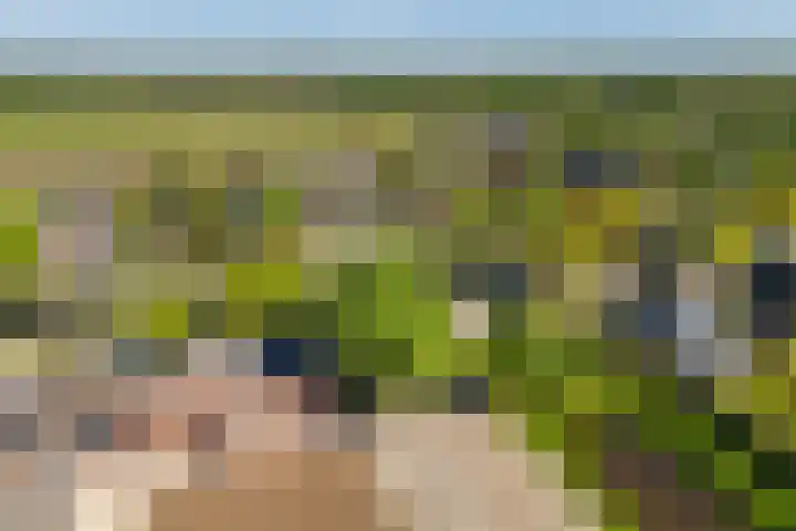 Kamerlingswijk WZ 88 B Zwartemeer thumbnail 15