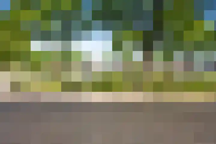 Kamerlingswijk WZ 88 B Zwartemeer thumbnail 16